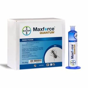 Maxforce Forte Gel